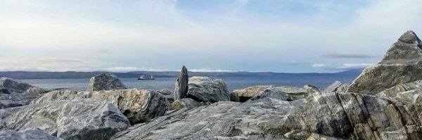 SilkeAsche Profile Banner