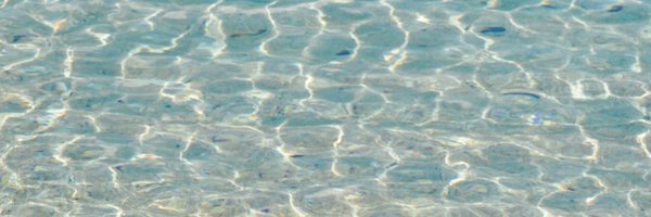 rina_onogi Profile Banner