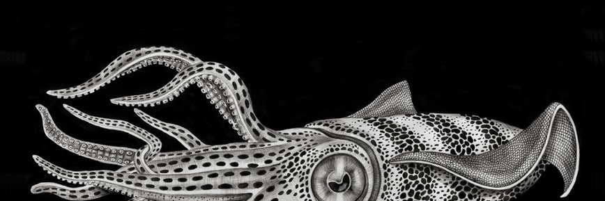 jessbond211's profile banner image
