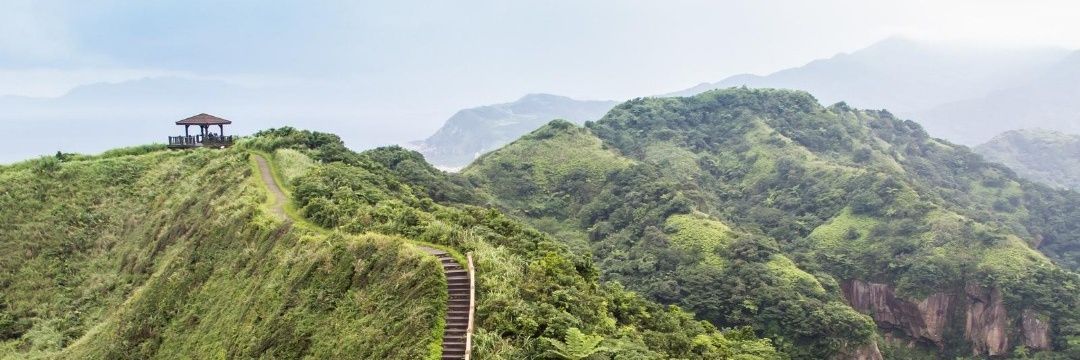 SarahAng__'s profile banner image