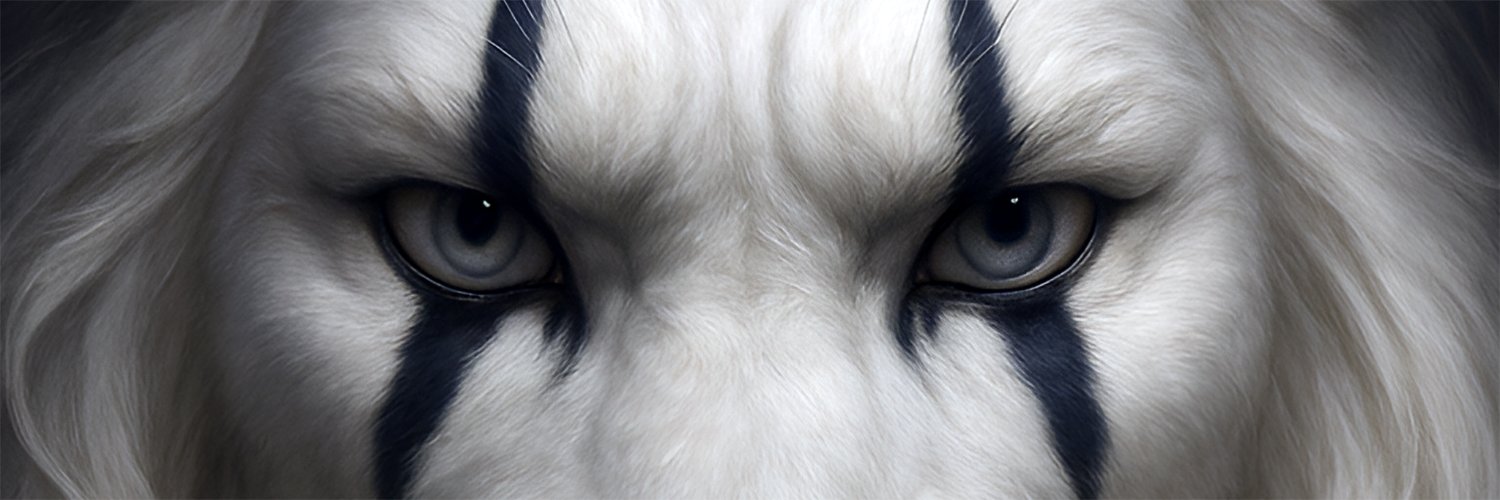 Enerylan's profile banner image