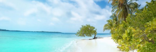 switch_news_lib's profile banner image