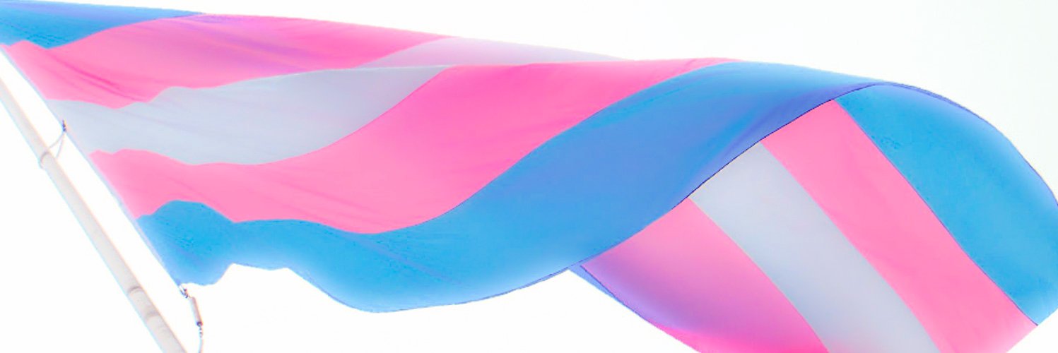 TransNewsDaily banner