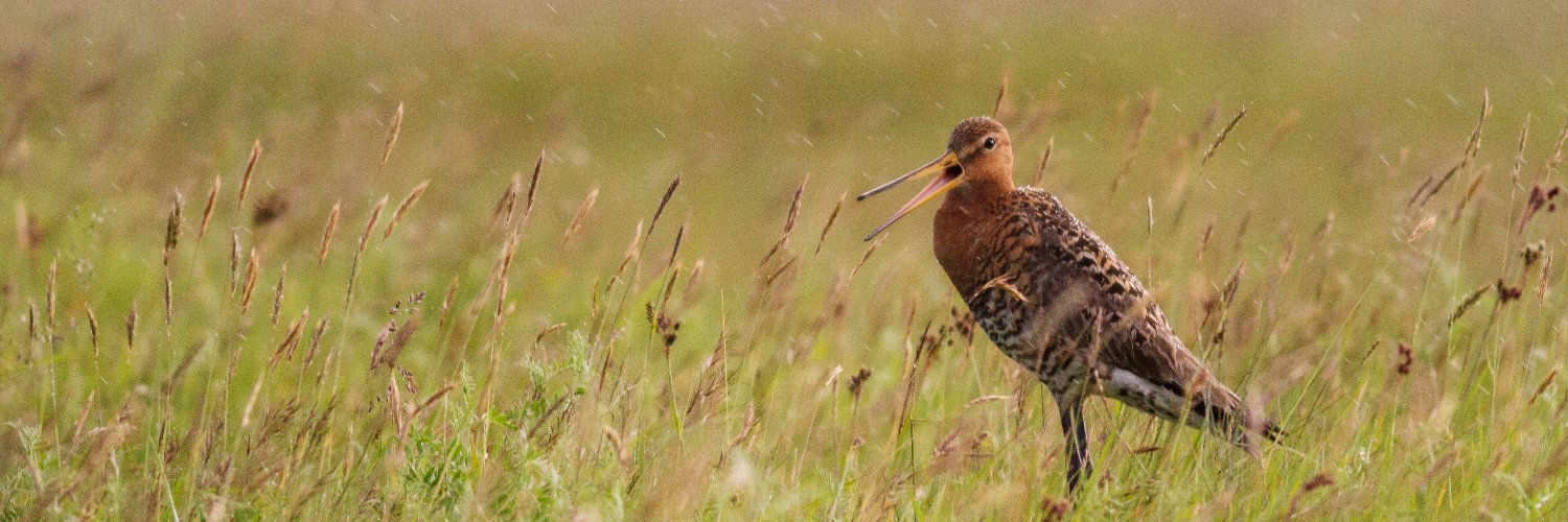 Ondrej Belfin banner
