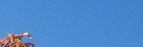 ipinky00's profile banner image