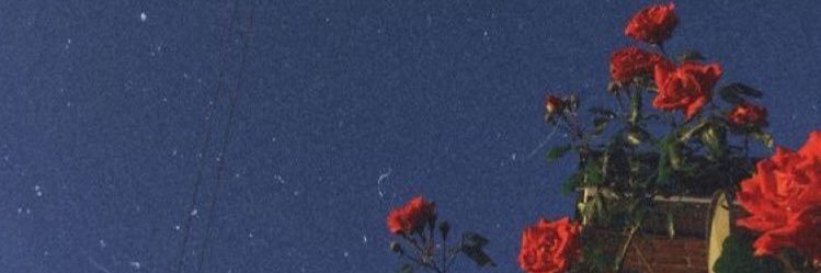 rafabonini_'s profile banner image