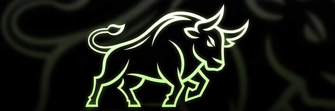 PermaBull's profile banner image