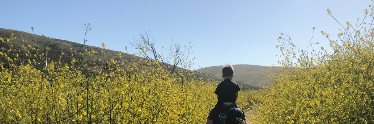 DaniBergstrom's profile banner image