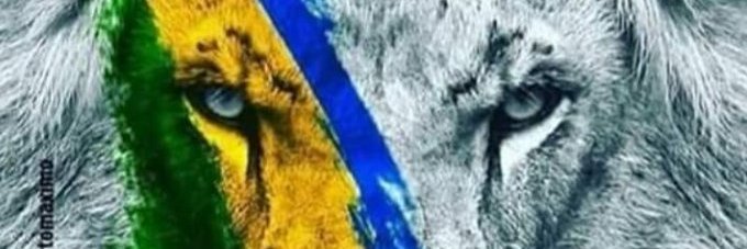 AlvarezZeni's profile banner image