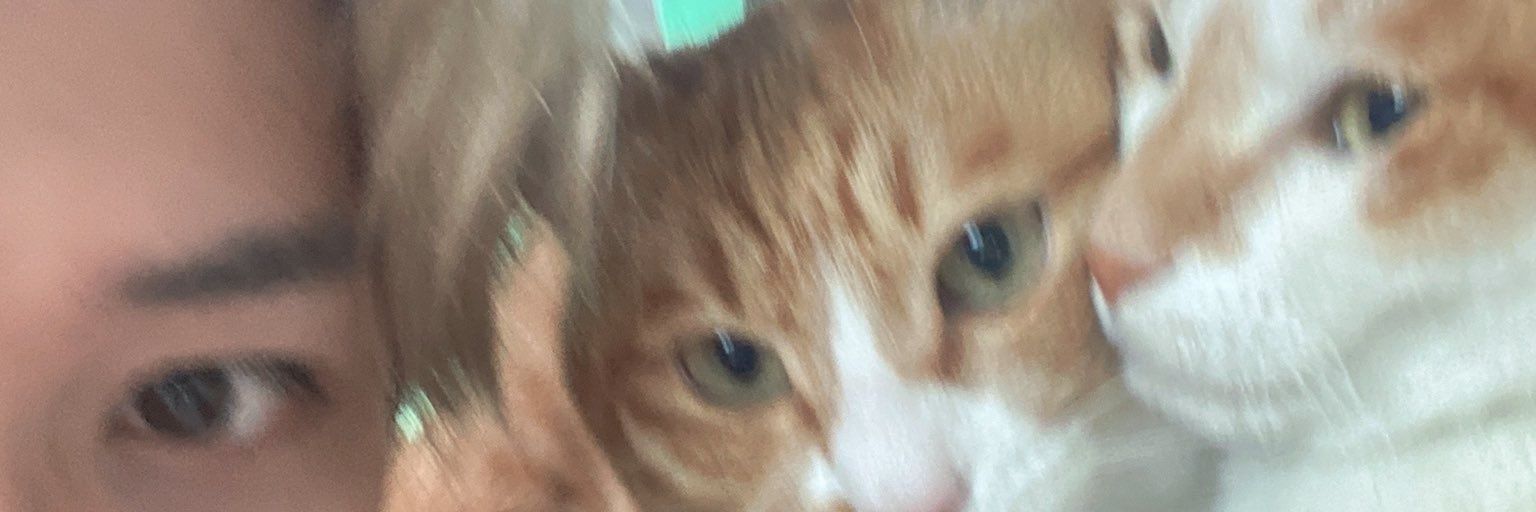 tripffy's profile banner image