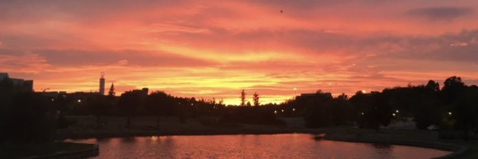 Gemma de la Puente banner