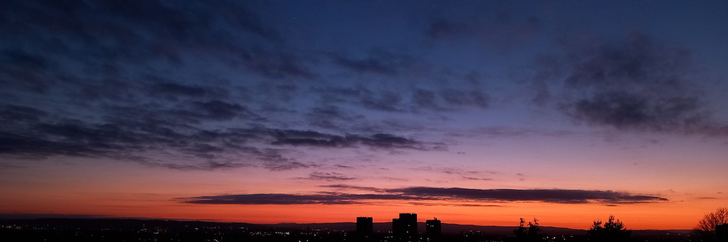 The Tourette's in my head banner