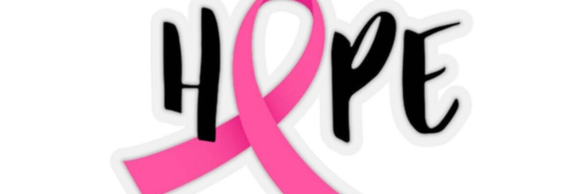 Lisa Adcox 🌊🎗💗🌸 banner