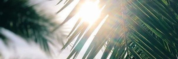 Al_Marie16's profile banner image