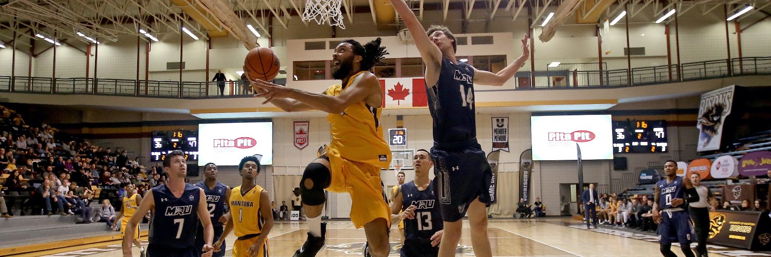 Bisons Men's Basketball banner