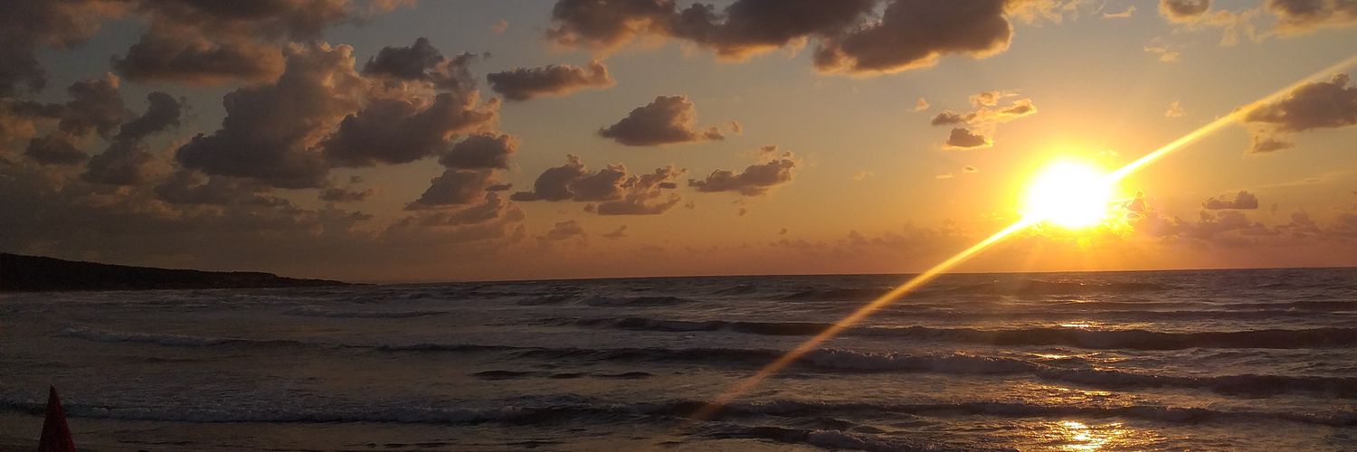 tugbaaerdal's profile banner image