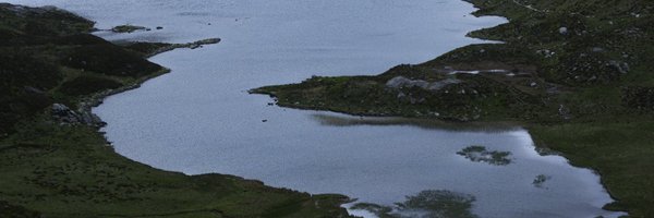 Koreless Profile Banner