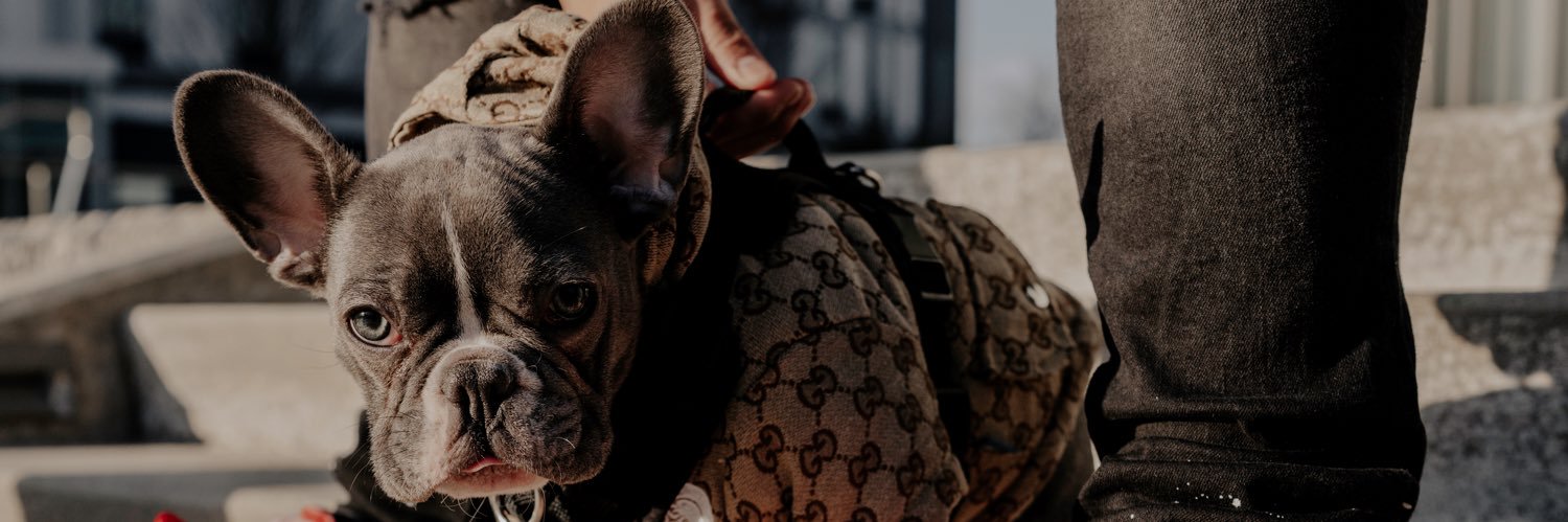 frankietyper's profile banner image