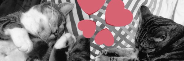 SoxandD Profile Banner