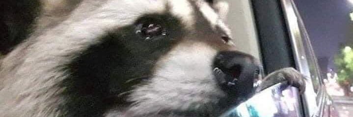 alexglndm's profile banner image