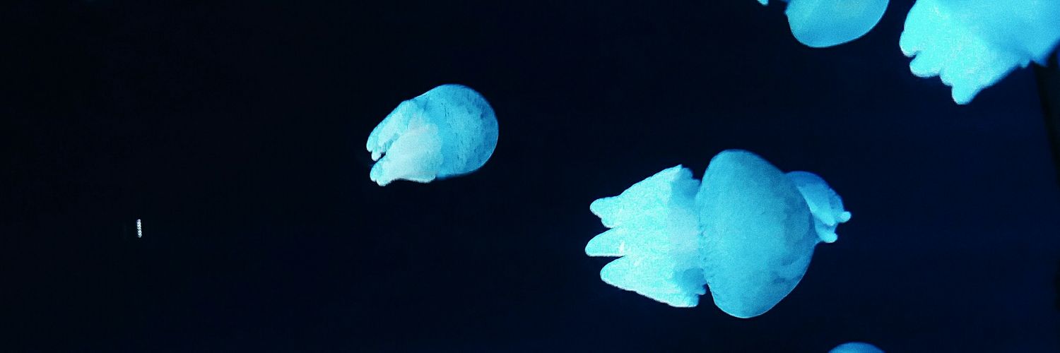 interludespring's profile banner image