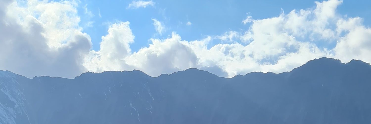 Foolish One banner