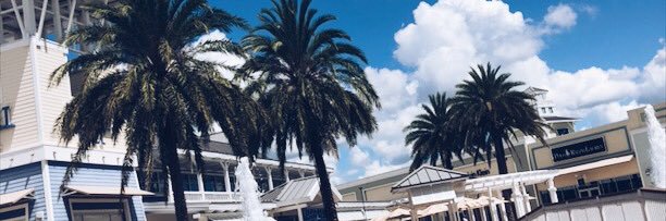 msperryy22's profile banner image