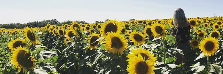 Stephanie Kayser Peplinski banner