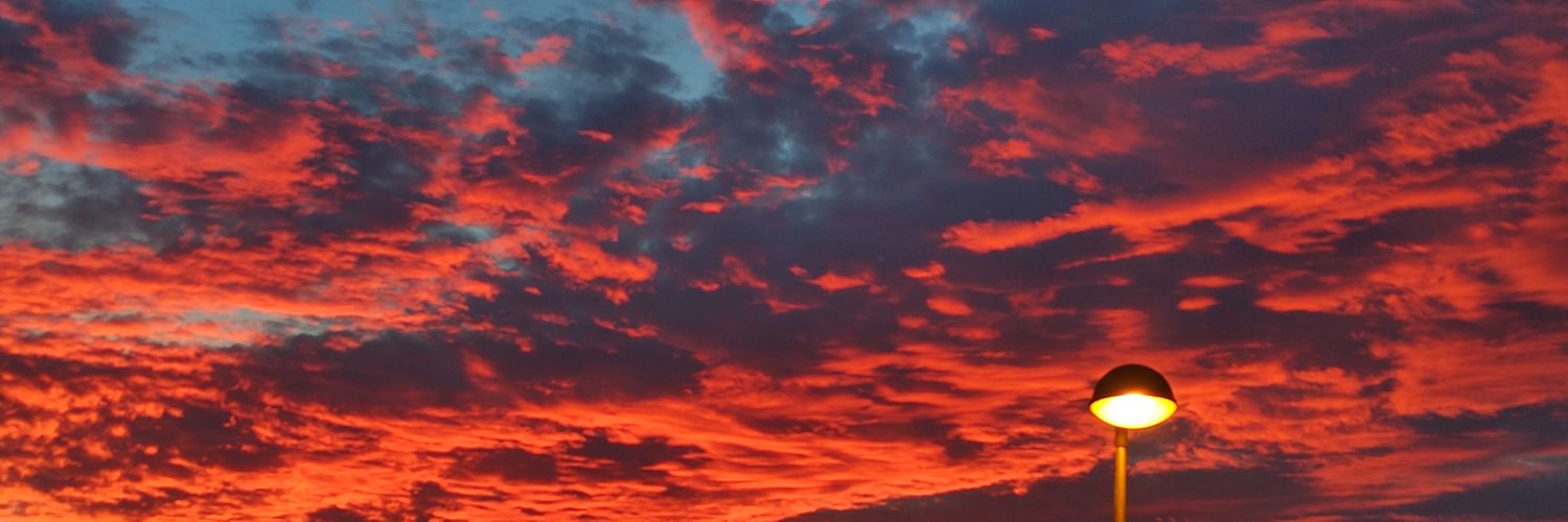 RosaRamosD's profile banner image