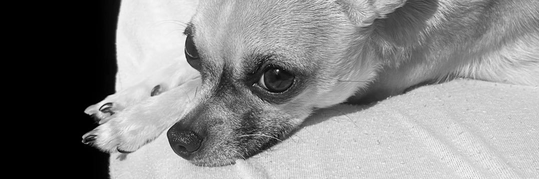 AxelleHbz's profile banner image