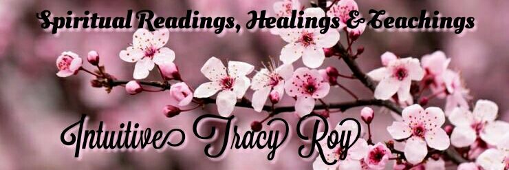 Intuitive Tracy Roy banner