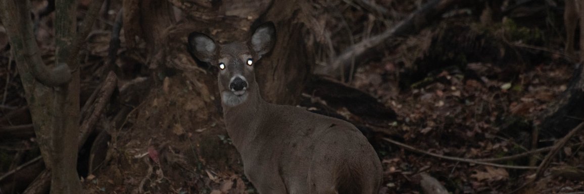 k8uh8's profile banner image