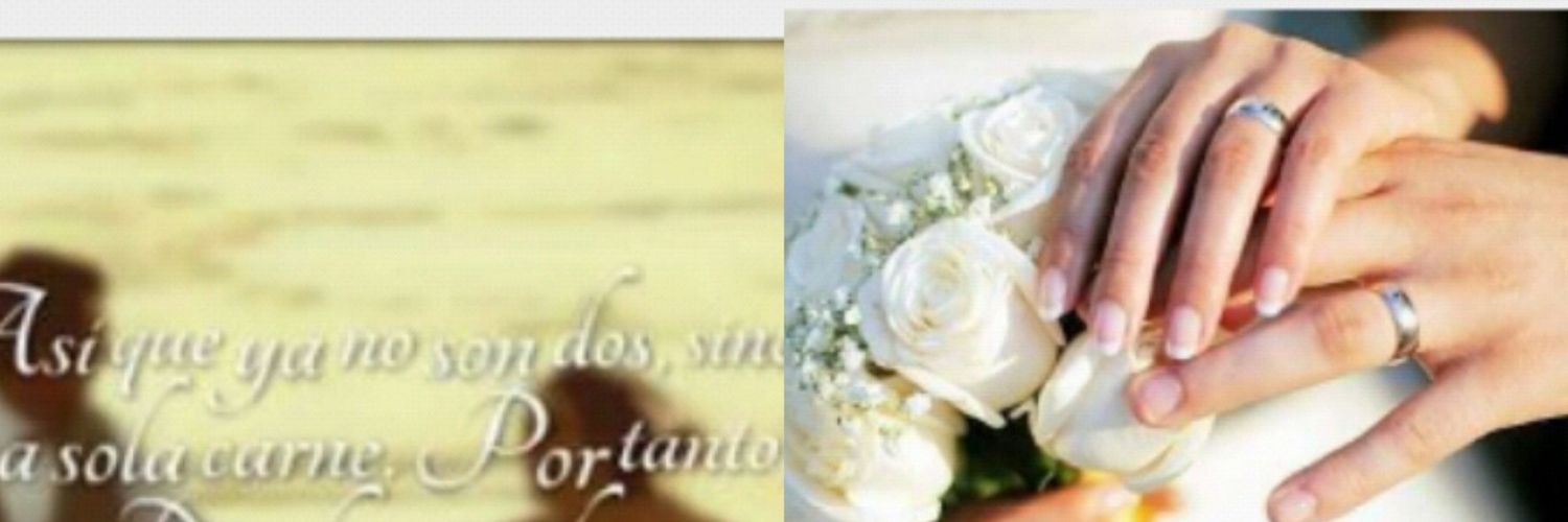 MariazelM's profile banner image
