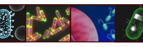 MicrobiologyMit Profile Banner