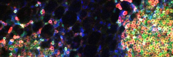 RoychoudhuriLab Profile Banner