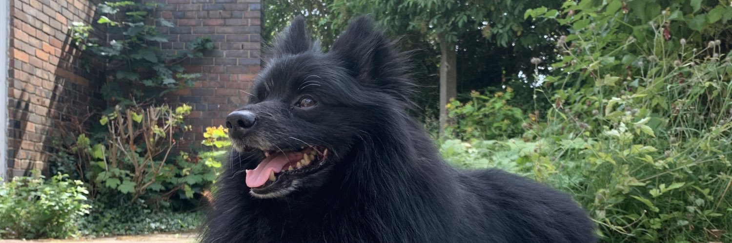 Alexa Russell banner