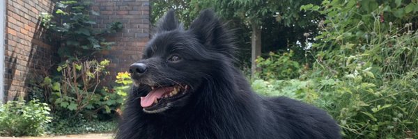 Rev_LexRussell Profile Banner