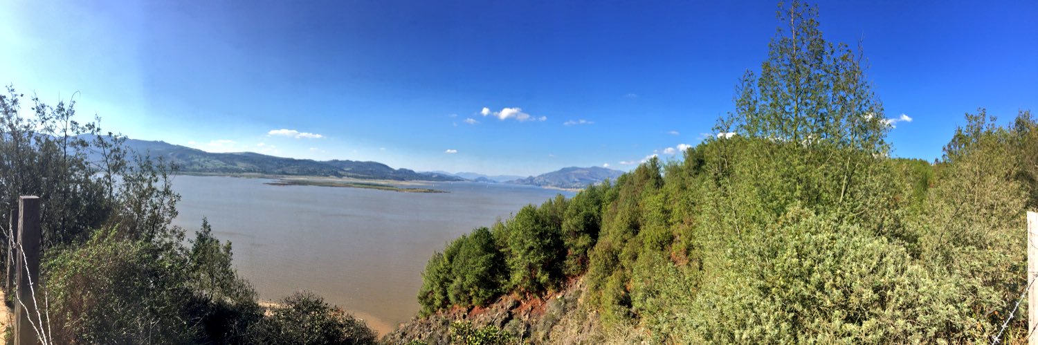 Luis F Malaver banner