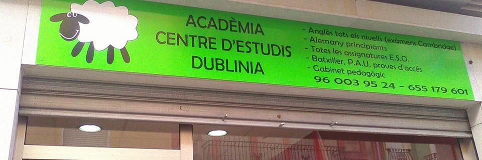 Academia Dublinia banner