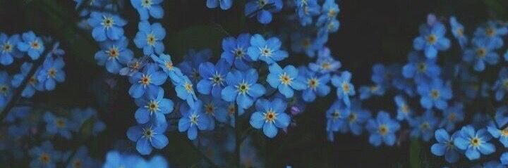 𝑀𝒾𝓃𝓃𝒶.𝒟𝒶𝓏𝒶𝑒🌙 banner