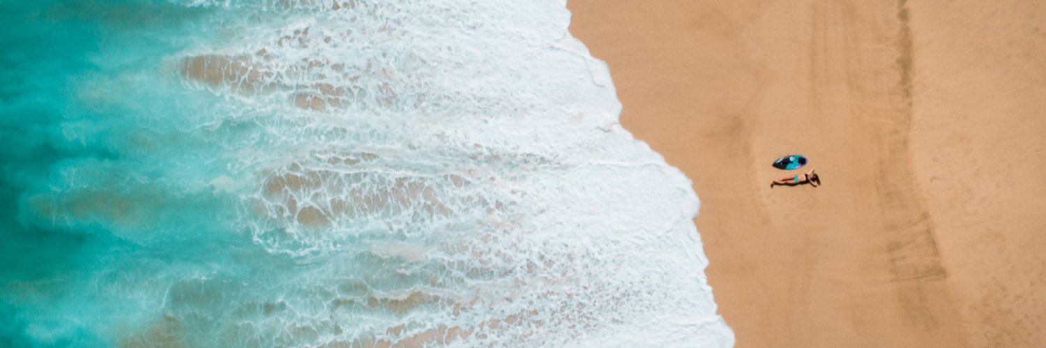 Amber Torrealba banner