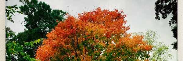 JeffPernica Profile Banner