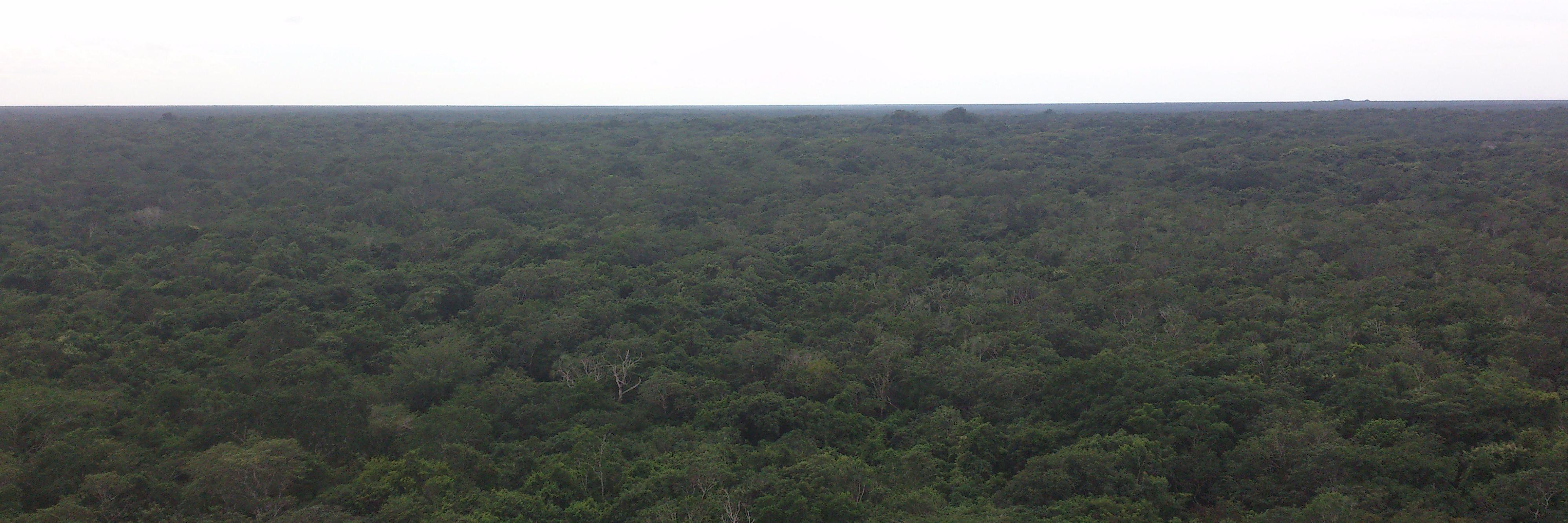 Ignacio Ballester Pardo banner