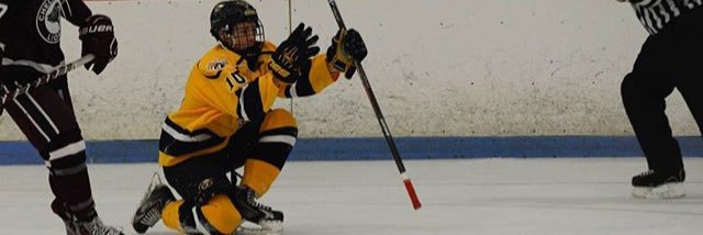 caedendill's profile banner image