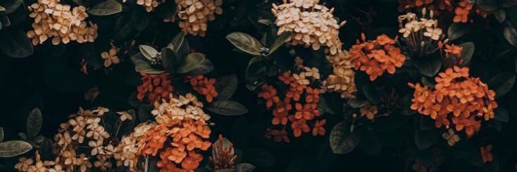 sayamon_L's profile banner image