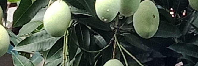 masekodes's profile banner image