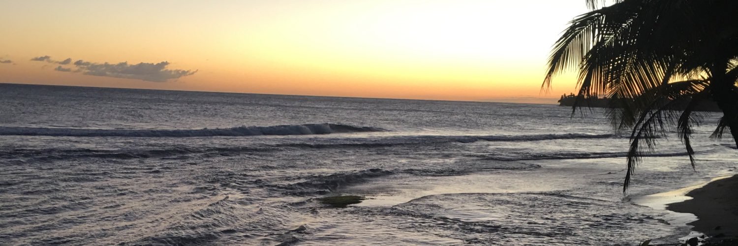MsRxtita's profile banner image