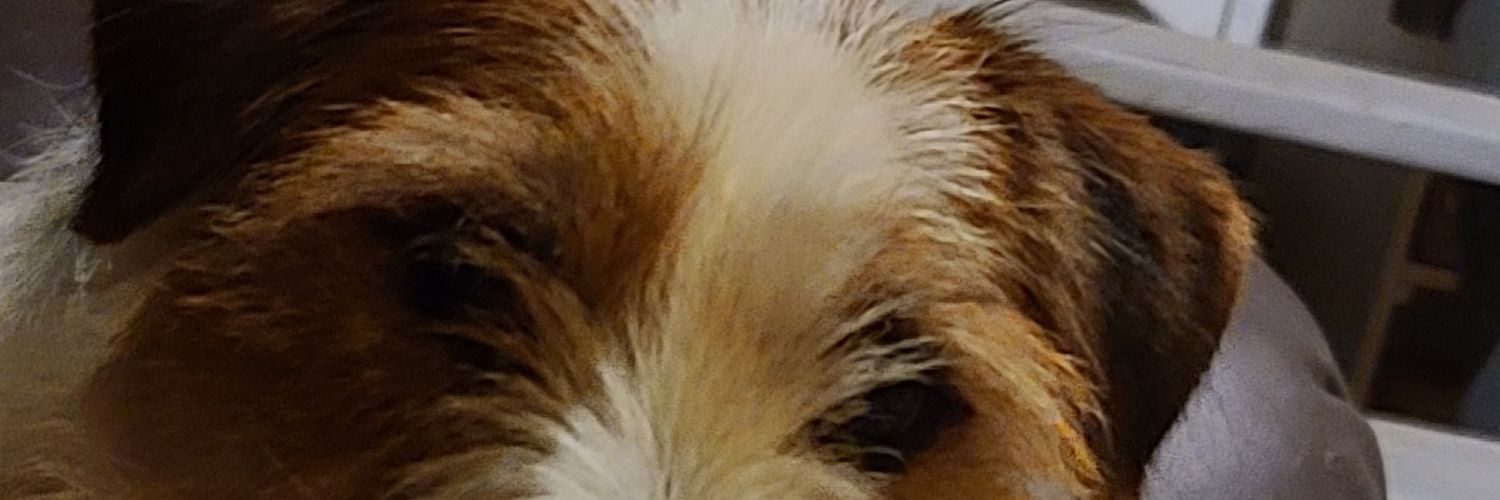 Ilou__'s profile banner image