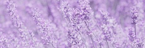 _mintyoonie's profile banner image