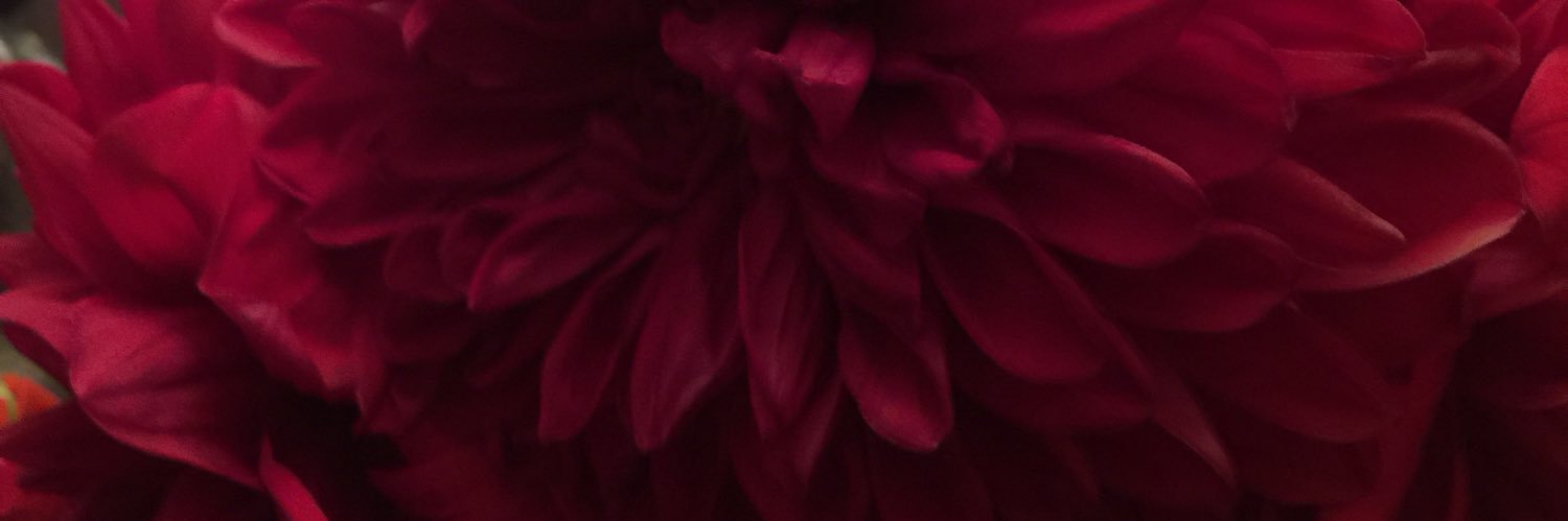 godessrc's profile banner image
